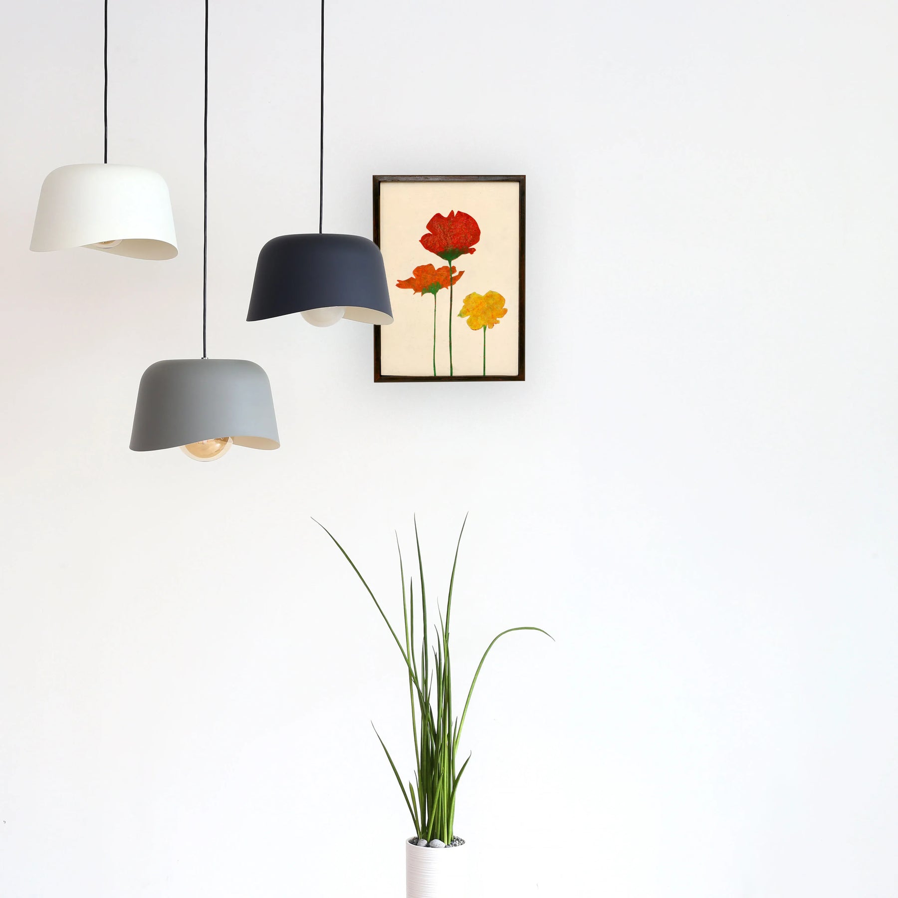 Three color poppiesNo.198